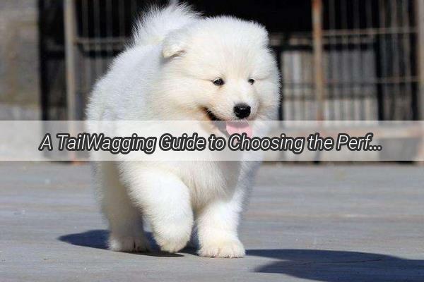 A TailWagging Guide to Choosing the Perfect Pooch for Your Daughters Sidekick